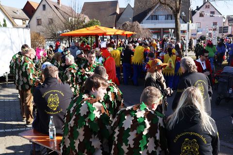 Bild 3 von 15: Rosenmontagsumzug 2023