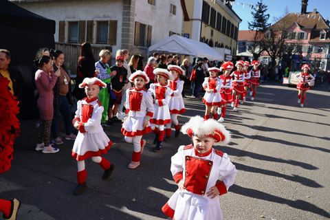 Bild 10 von 15: Rosenmontagsumzug 2023