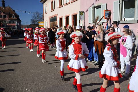 Bild 11 von 15: Rosenmontagsumzug 2023