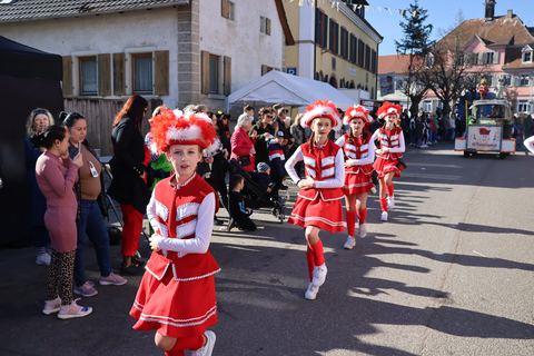 Bild 12 von 15: Rosenmontagsumzug 2023