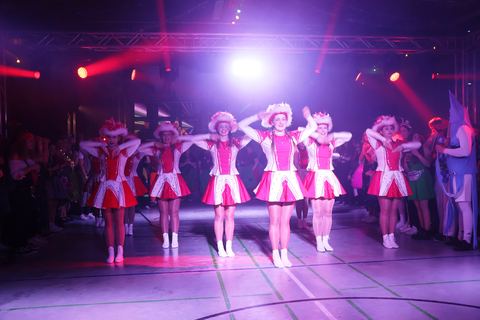 Bild 12 von 15: Narrenratsball 2024