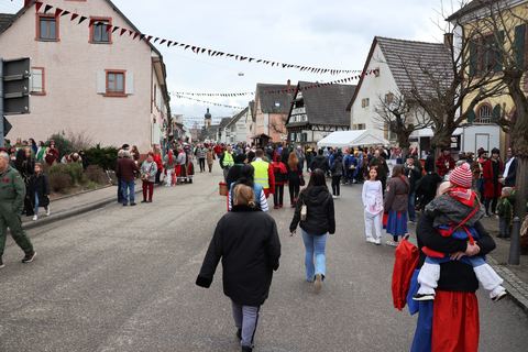 Bild 2 von 15: Rosenmontagsumzug 2024