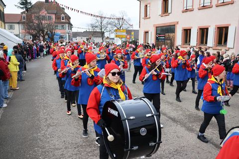 Bild 8 von 15: Rosenmontagsumzug 2024
