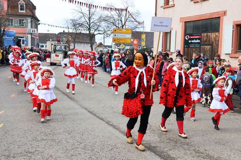 Bild 9 von 15: Rosenmontagsumzug 2024