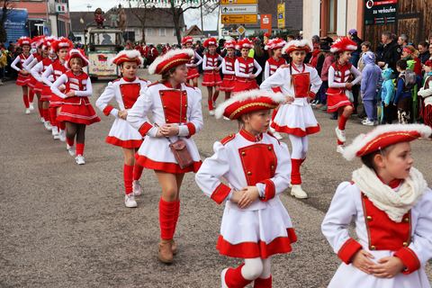 Bild 10 von 15: Rosenmontagsumzug 2024