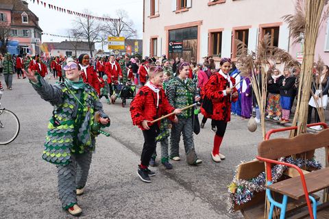 Bild 12 von 15: Rosenmontagsumzug 2024
