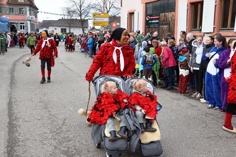 Bild 15 von 15: Rosenmontagsumzug 2024