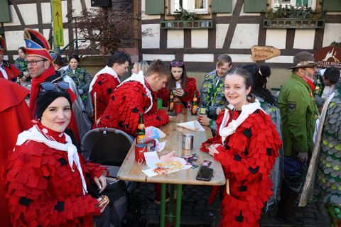 Bild 12 von 15: Umzug Zell-Weierbach 2024