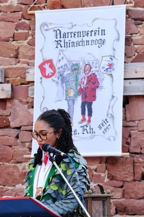 Bild 14 von 15: Narrengericht 2025