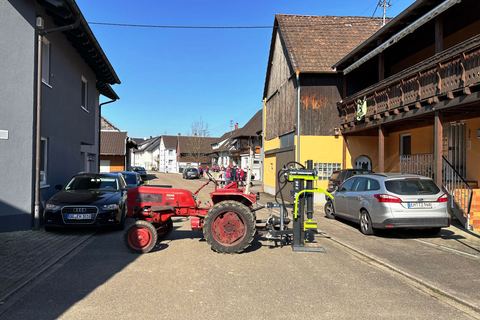 Bild 9 von 20: Rosenmontagsumzug 2025
