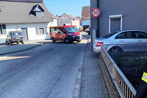 Bild 10 von 20: Rosenmontagsumzug 2025