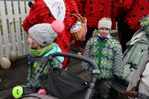 Bild 11 von 15: Ettenheim 2026