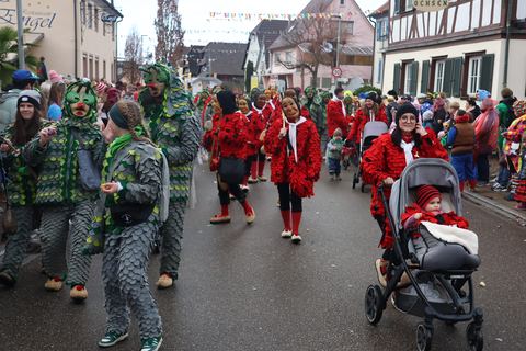 Bild 12 von 15: Grafenhausen 2026