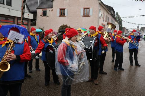 Bild 11 von 15: Rosenmontagsumzug 2026