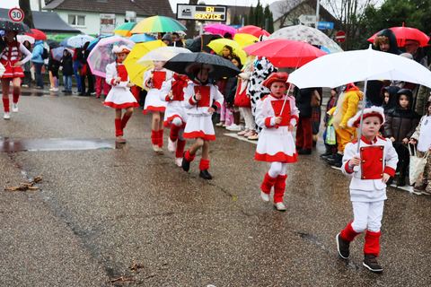 Bild 13 von 15: Rosenmontagsumzug 2026