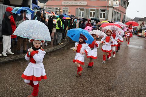 Bild 14 von 15: Rosenmontagsumzug 2026