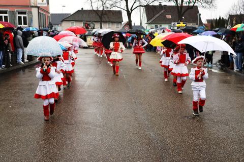 Bild 15 von 15: Rosenmontagsumzug 2026